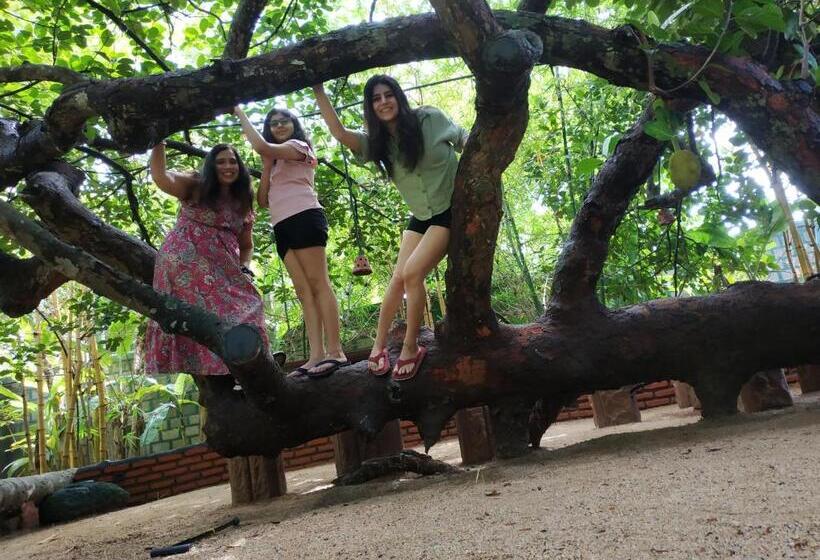 فندق Sigiriya Cashew Palace Resort