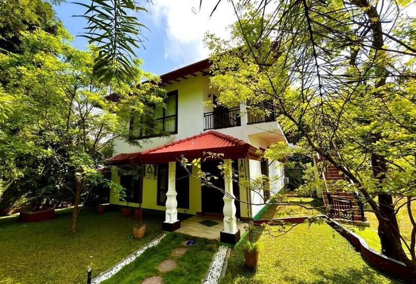 فندق Sigiriya Cashew Palace Resort