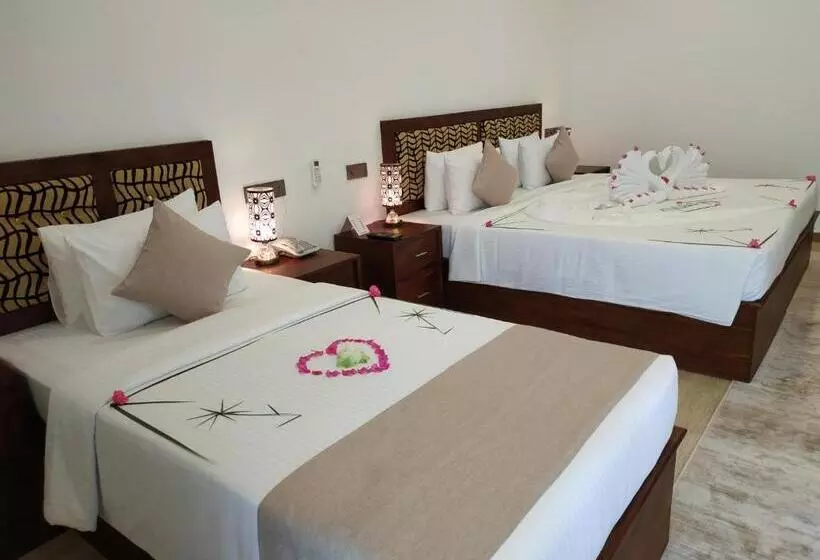 Hotelli Sigiriya Cashew Palace Resort