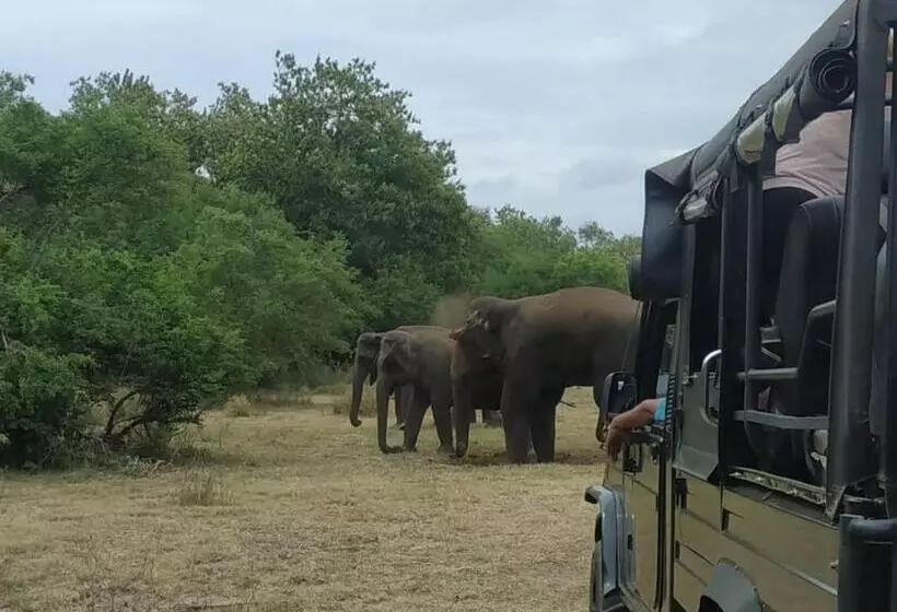 Hotelli Sigiriya Cashew Palace Resort