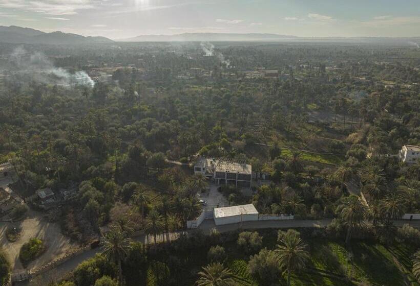 بنسيون Dar Seddik