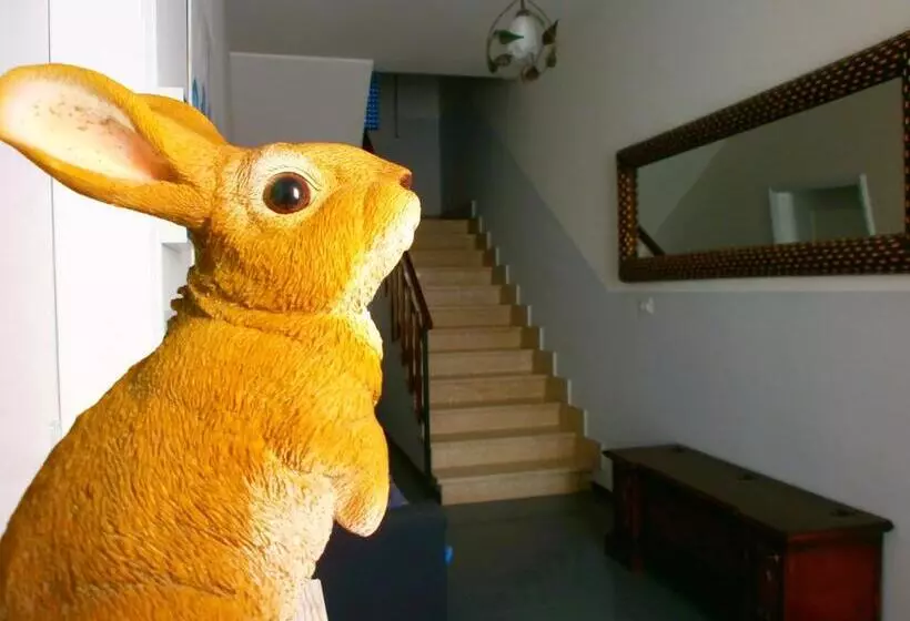 Majatalo Il Leprotto   Room & Breakfast