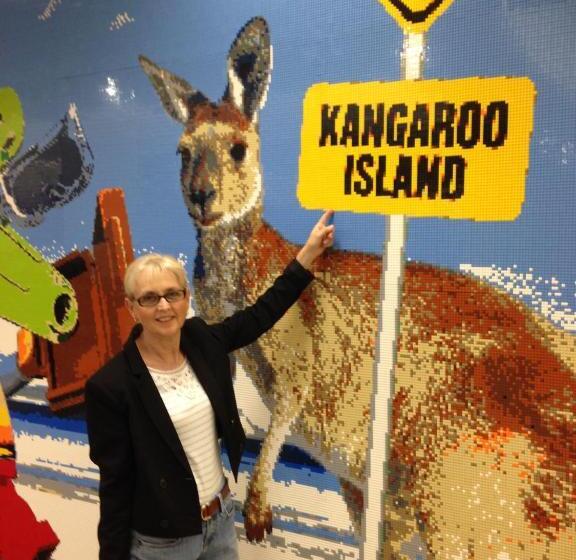 膳宿费 Wedgetaildown