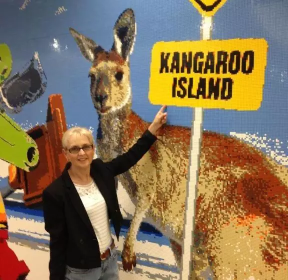 Majatalo Wedgetaildown