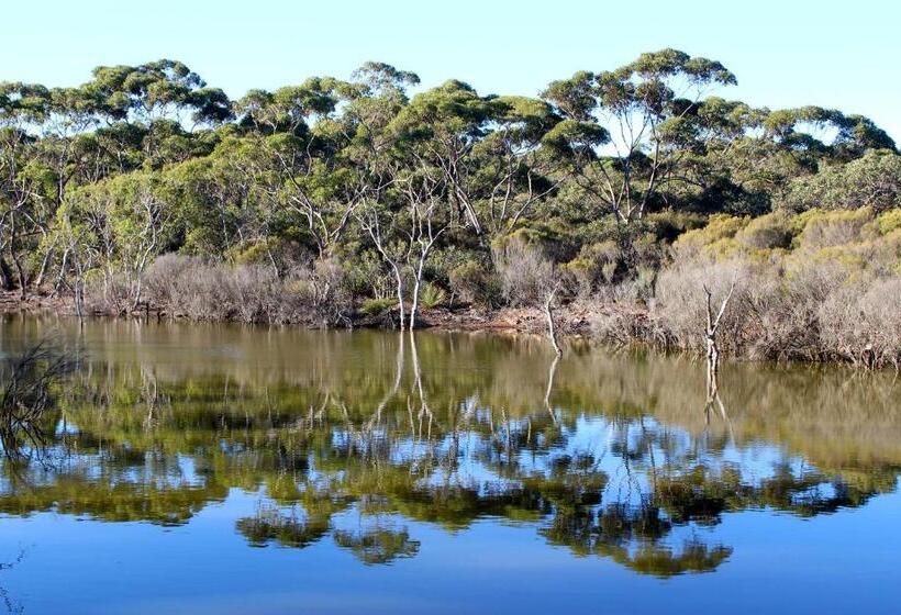 膳宿费 Wedgetaildown