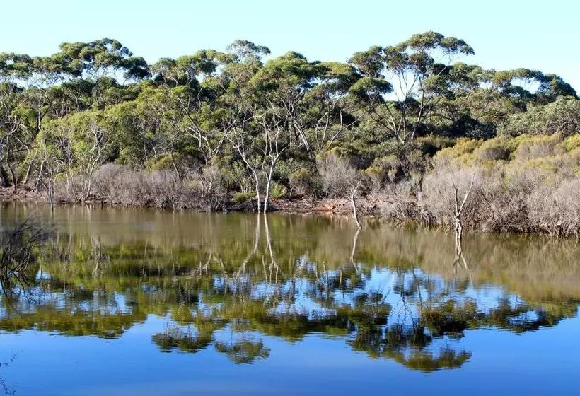 Majatalo Wedgetaildown