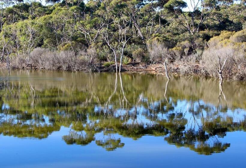 膳宿费 Wedgetaildown