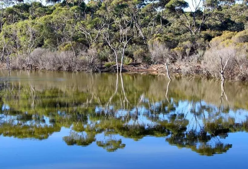 Majatalo Wedgetaildown