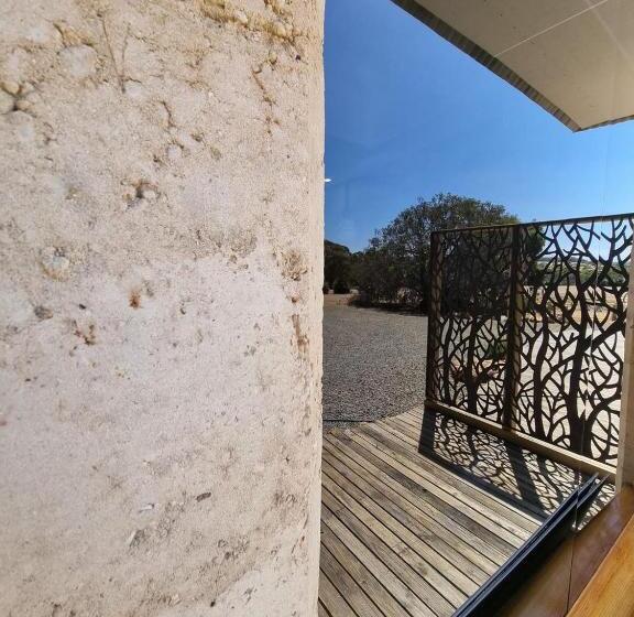 膳宿费 Wedgetaildown