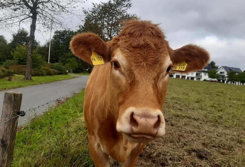 Bed and Breakfast Aussichtsbauernhofpension Hof Gretchens