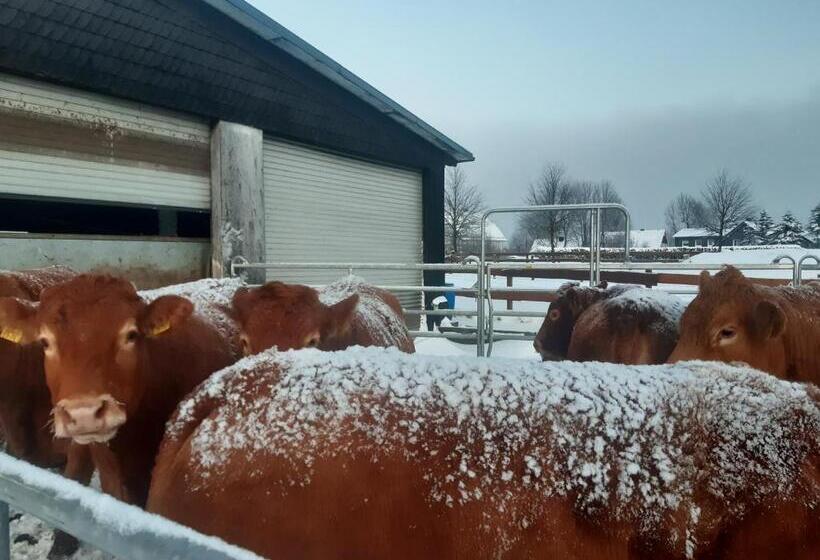 Bed and Breakfast Aussichtsbauernhofpension Hof Gretchens