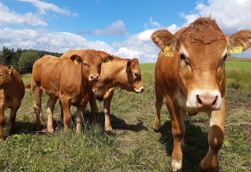 Bed and Breakfast Aussichtsbauernhofpension Hof Gretchens