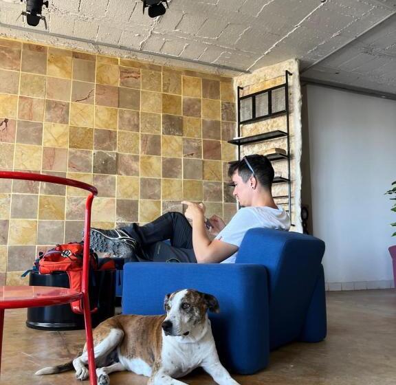 Bethlehem City Hostel