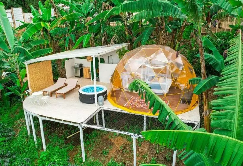 ホテル Bajo El Cielo Glamping San Francisco