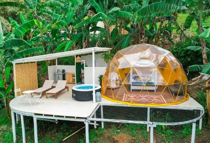 ホテル Bajo El Cielo Glamping San Francisco