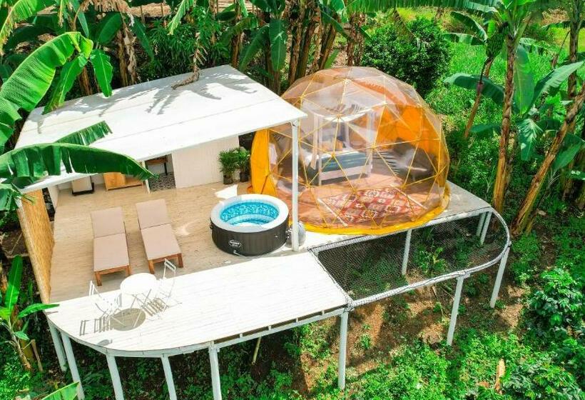 בית מלון כפרי Bajo El Cielo Glamping San Francisco