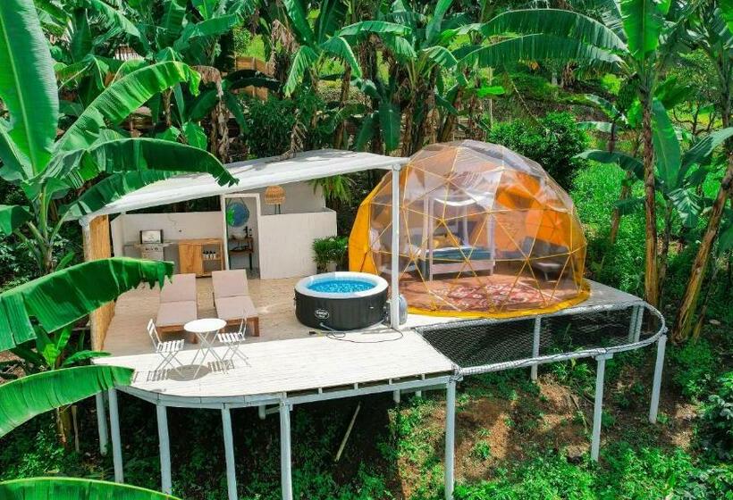 בית מלון כפרי Bajo El Cielo Glamping San Francisco