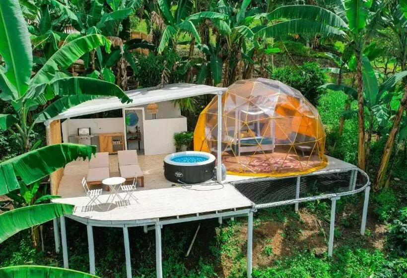 ホテル Bajo El Cielo Glamping San Francisco