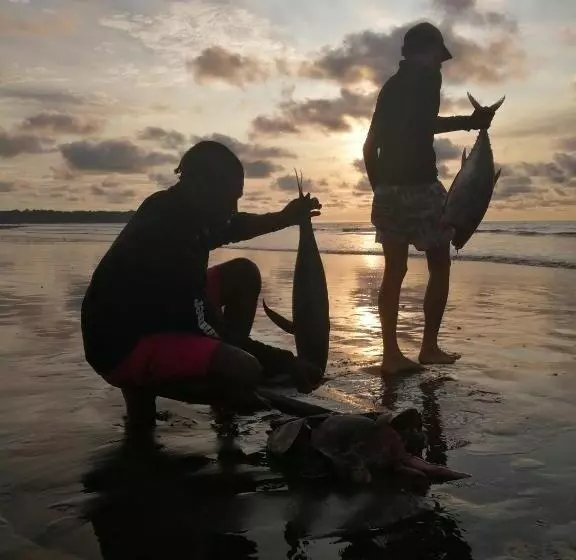 ホテル Ostional River