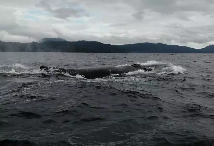 ホテル Ostional River