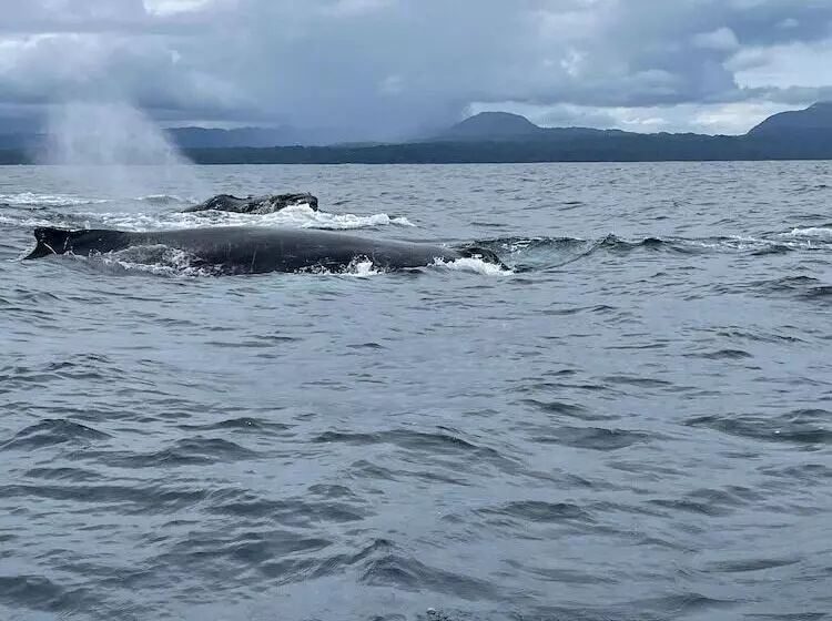 ホテル Ostional River