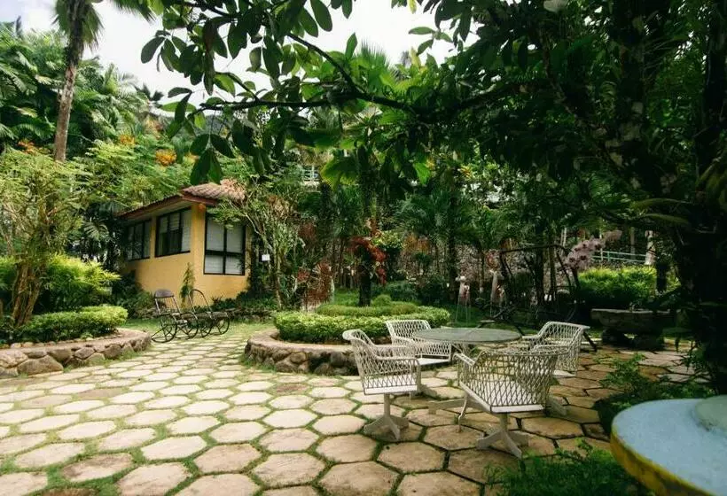 ホテル Palm Grove Hot Springs And Mountain Resort