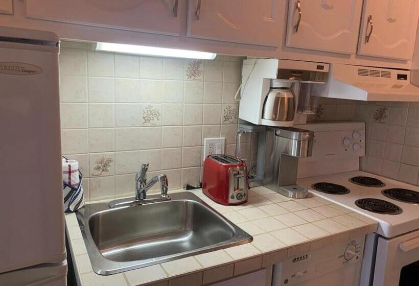 Magog Waterfront Condo