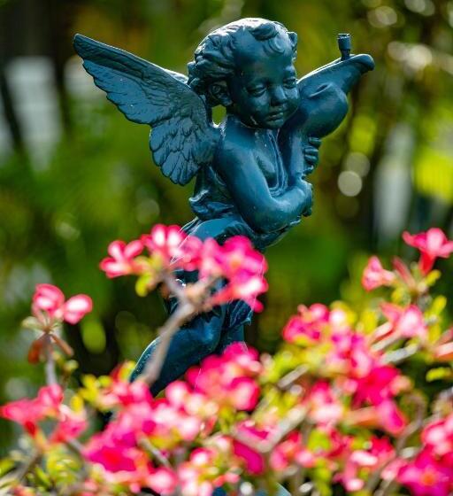 پانسیون Villa Myriam