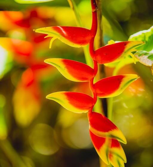 پانسیون Villa Myriam