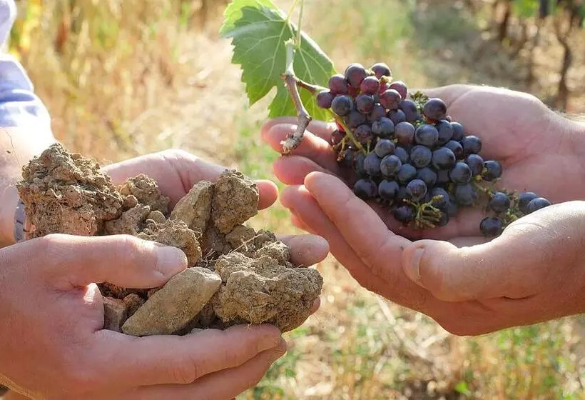 Terravita Winery & Boutique Apartments