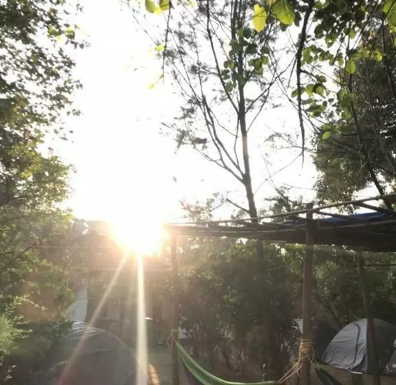 Tusker Tribe Hostel