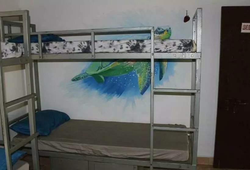 Tusker Tribe Hostel