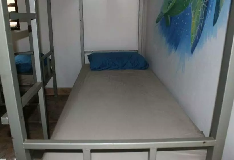 Tusker Tribe Hostel