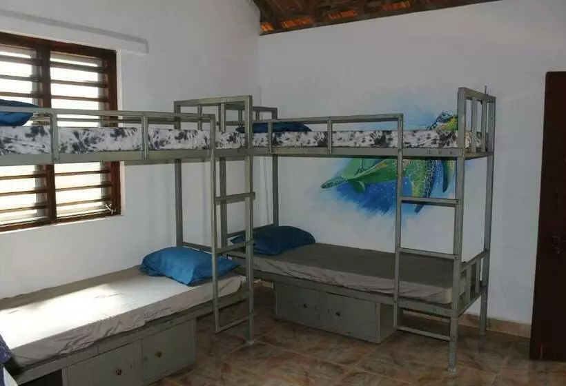 Tusker Tribe Hostel