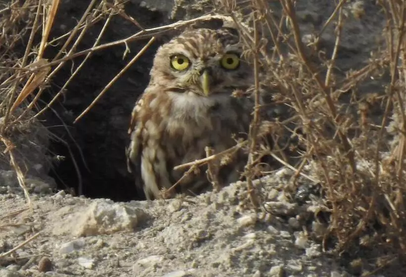 Villa Aries   Rural Chic Experience