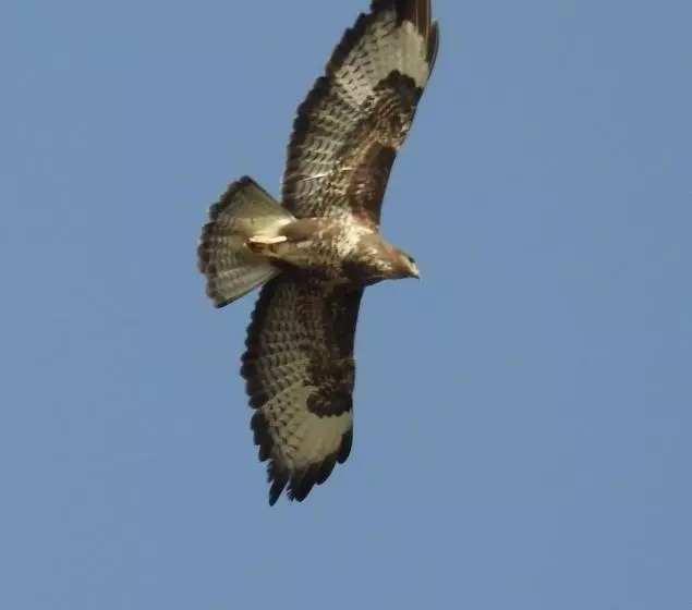 Villa Aries   Rural Chic Experience