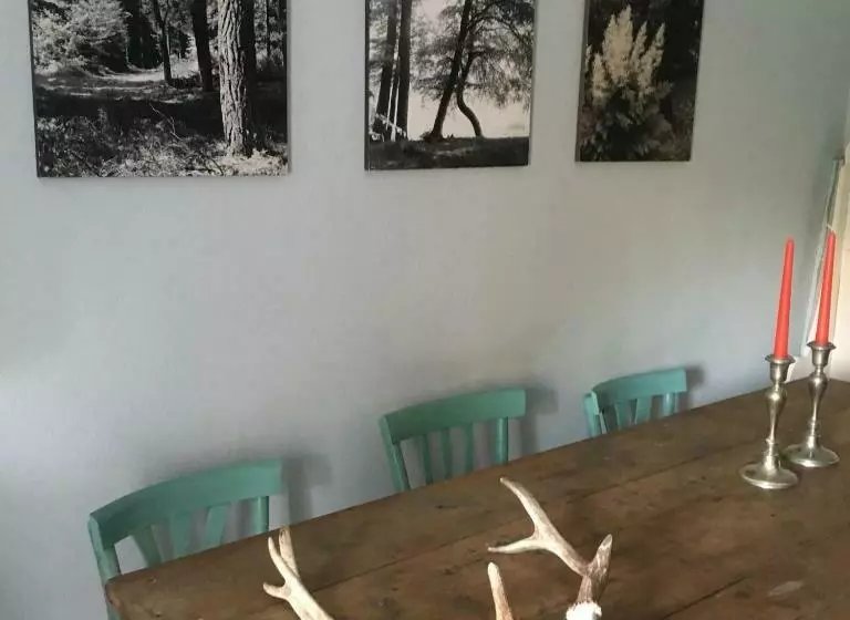 Aamiaismajoitus (B&B) Il Mulino Di Aurora