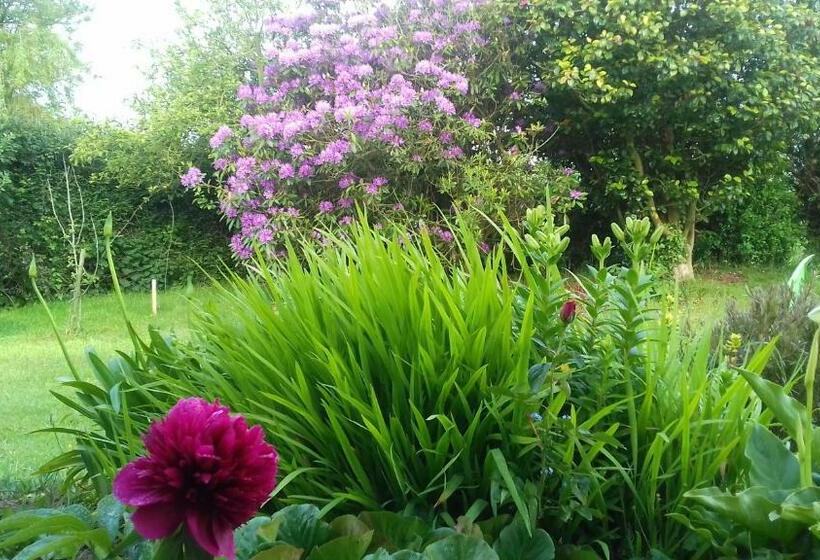 Bed and Breakfast Kerouidret