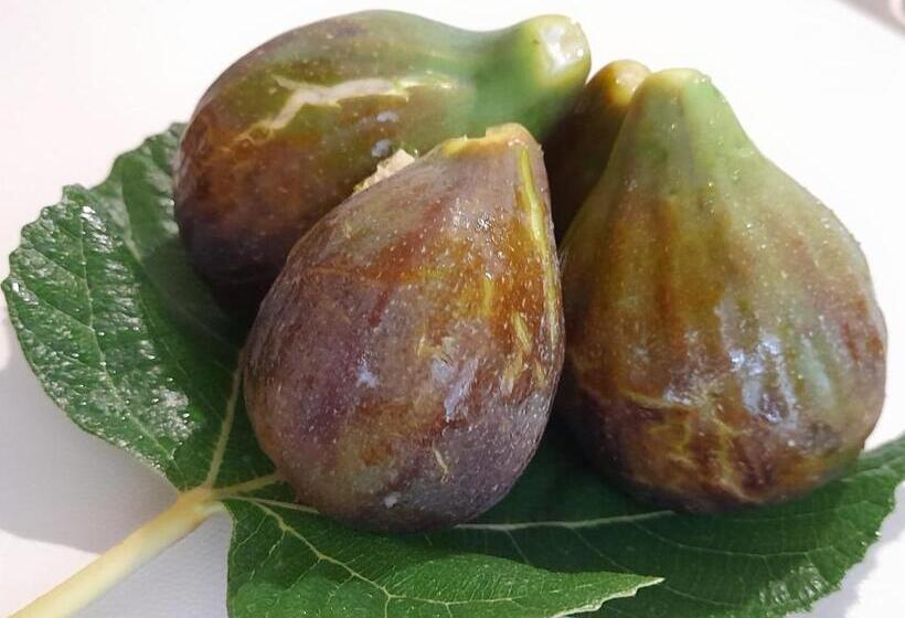 مبيت وإفطار Lu Masunu