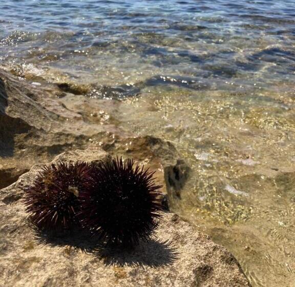 مبيت وإفطار Lu Masunu