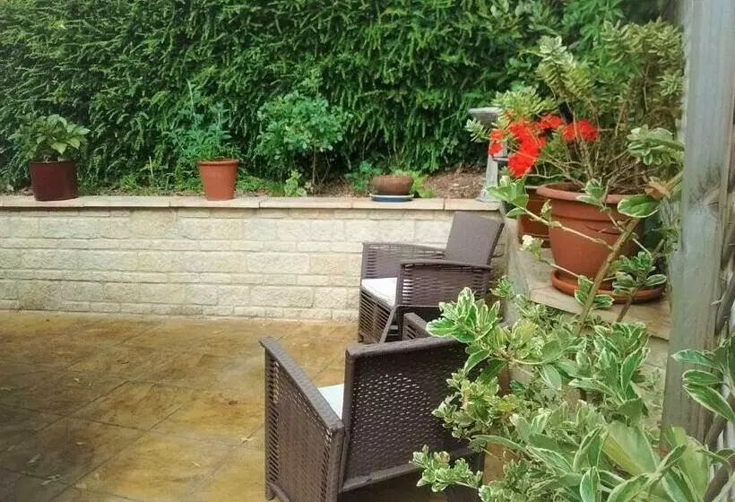 تختخواب و صبحانه Sunny Patch