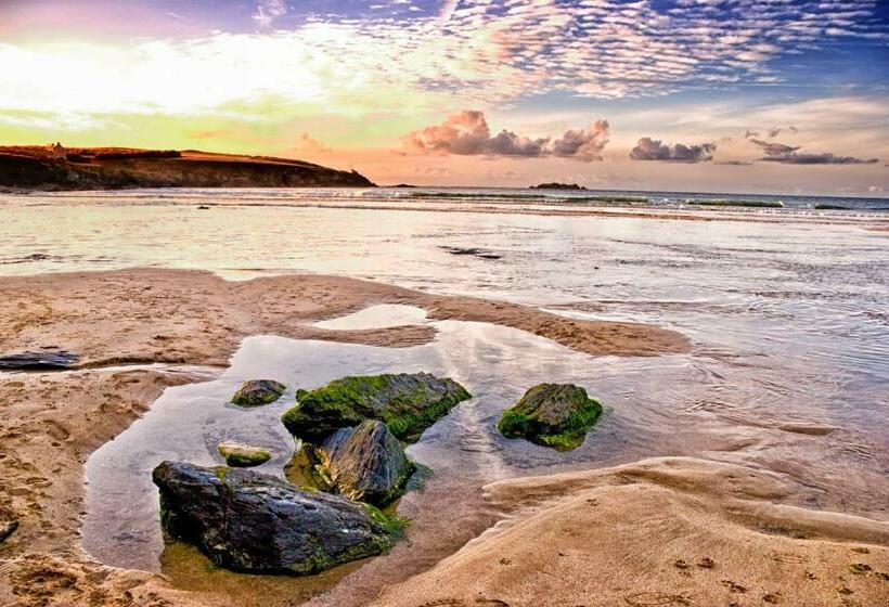 مبيت وإفطار The White House