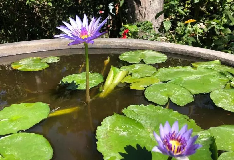 Majatalo Hidden Heaven Rumah Barong