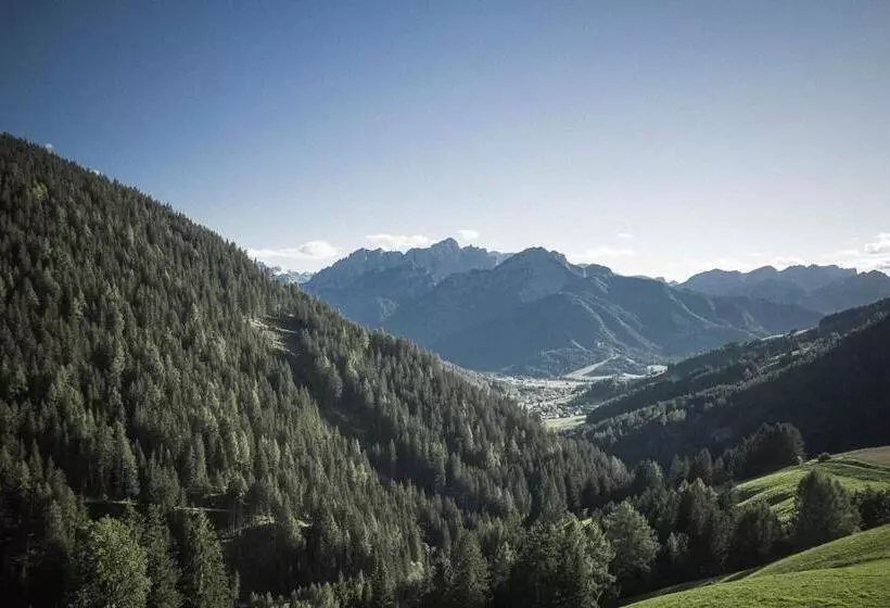 Toninghof