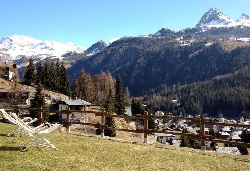 تختخواب و صبحانه Affittacamere Buenavista Guest House