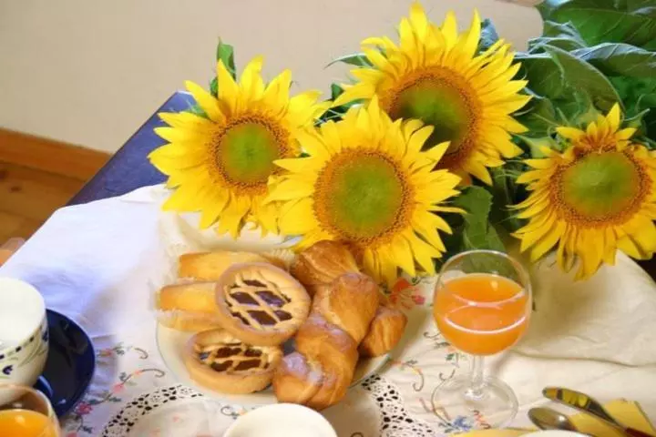 住宿加早餐  San Firmano