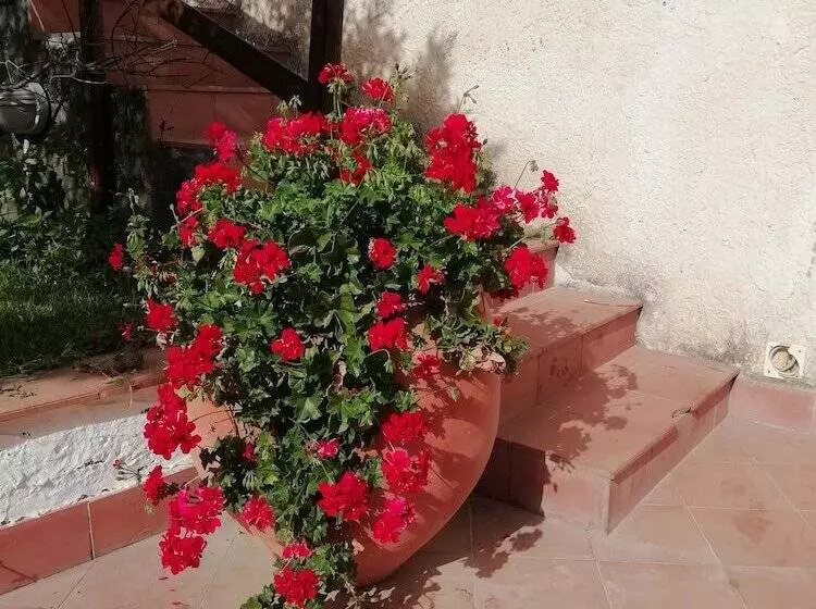 ベッドアンドブレックファースト Villa Aresco