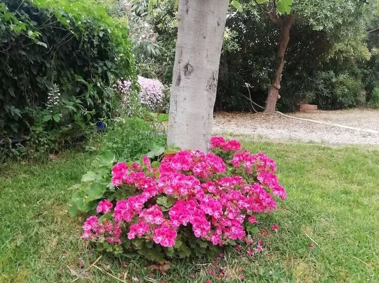 ベッドアンドブレックファースト Villa Aresco