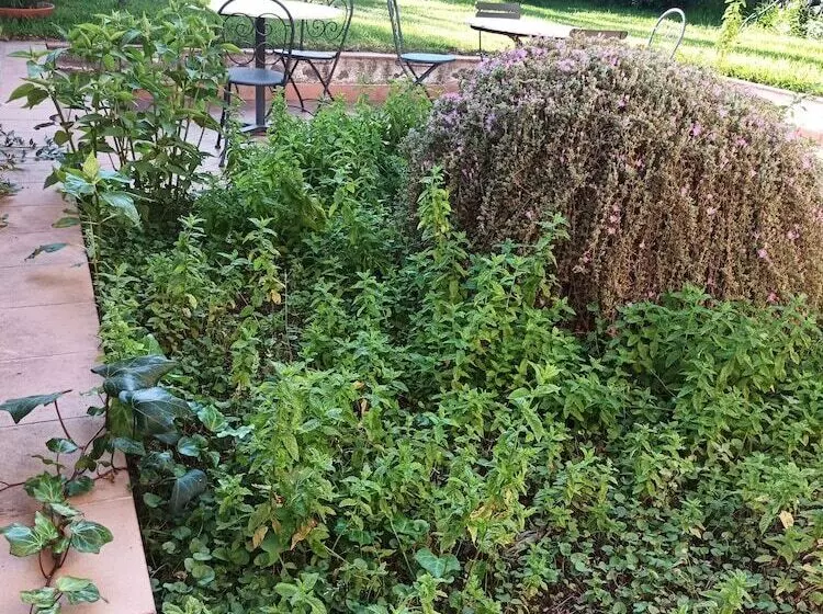 ベッドアンドブレックファースト Villa Aresco