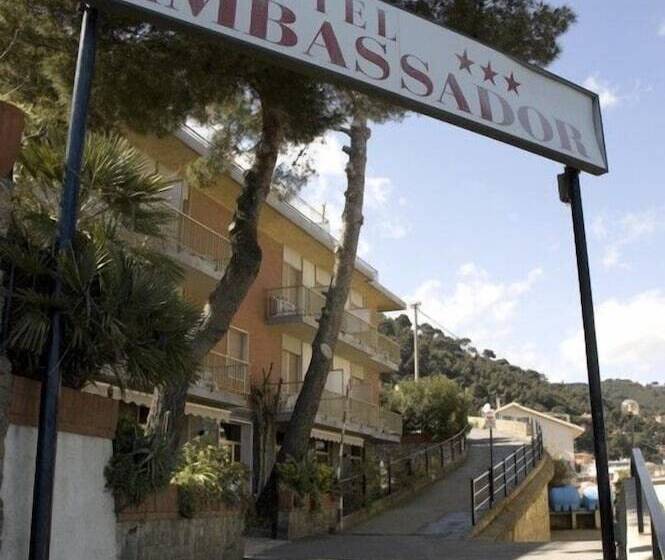 בית מלון כפרי Ambassador